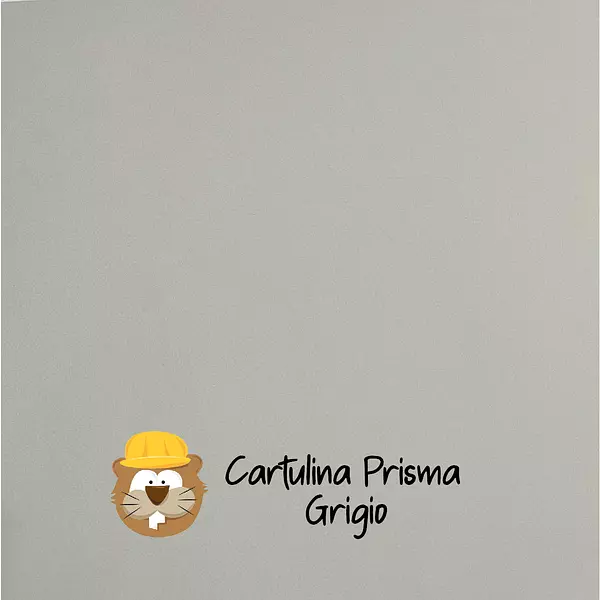 10 Hojas Cartulina Prisma Grigio (220 Gramos)