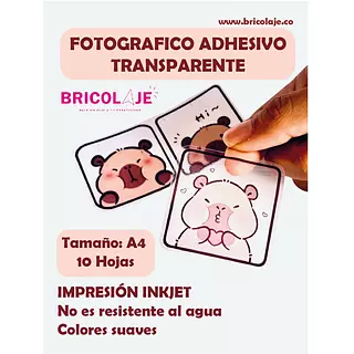 Fotografico Adhesivo Transparente *10 Hojas