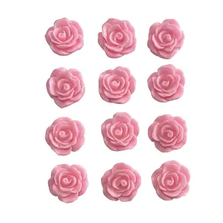 12 Rosas Rosadas