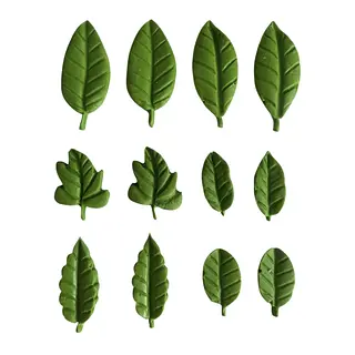 12 Hojas Surtidas