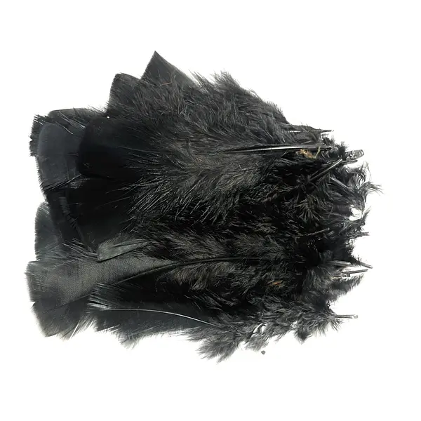 Plumas De Color Negro * 24 Unidades