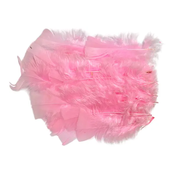 Plumas De Color Rosadas * 24 Unidades