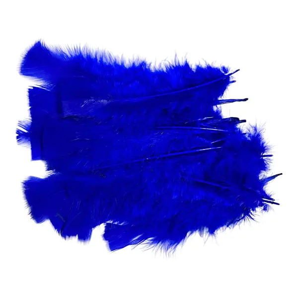 Plumas De Color Azul Rey * 24 Unidades