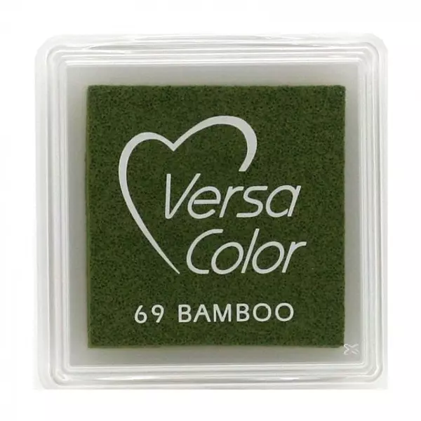 Tinta Versa Color 69 Bamboo