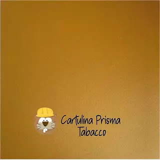 10 Hojas Cartulina Prisma Tabaco (220 Gr)
