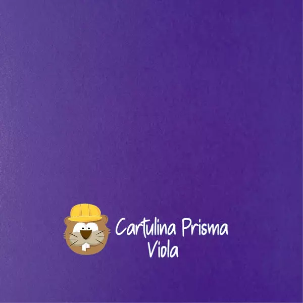 10 Hojas Cartulina Prisma Viola (220 Gr)