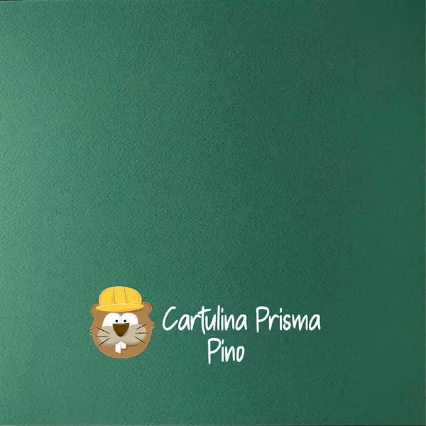 10 Hojas Cartulina Prisma Pino (220 Gr)