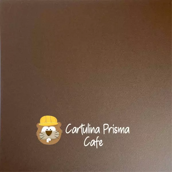 10 Hojas Cartulina Prisma Cafe (220 Gr)