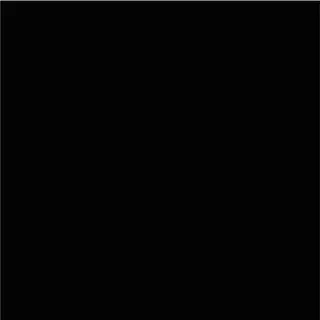 10 Cartulinas Burano Negro 140 Gramos