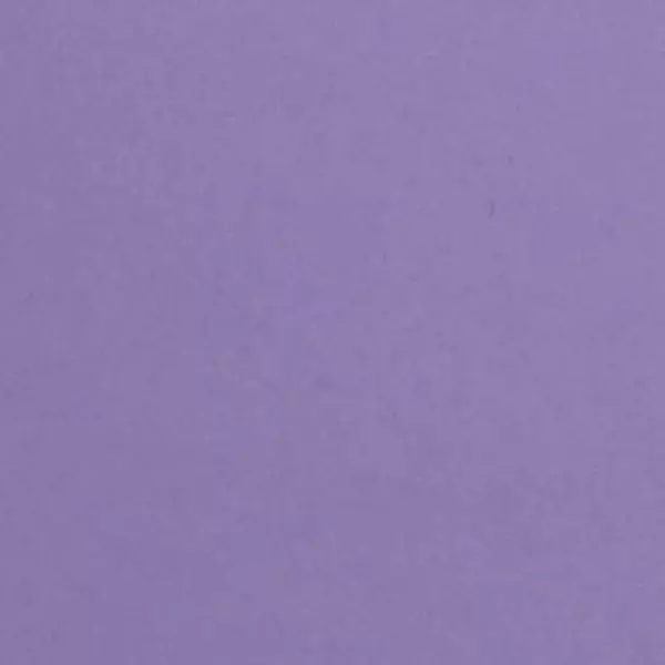 10 Cartulina Burano Violet 250 Gramos (250 Gr)