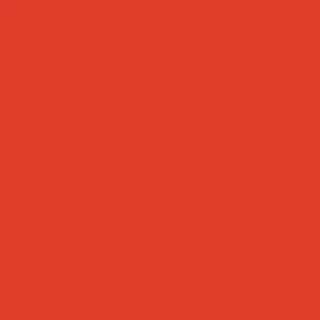 10 Cartulina Burano Rojo Scarlatto (250 Gr)