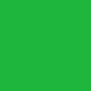 10 Cartulinas Burano Verde Bandera 140 Gramos