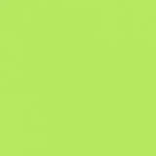 10 Cartulinas Burano Verde Prado 140 Gramos