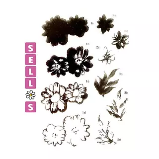 308 Sellos Flores