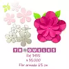 3435 Troquel Flores 5 Petalos * 4 Pz