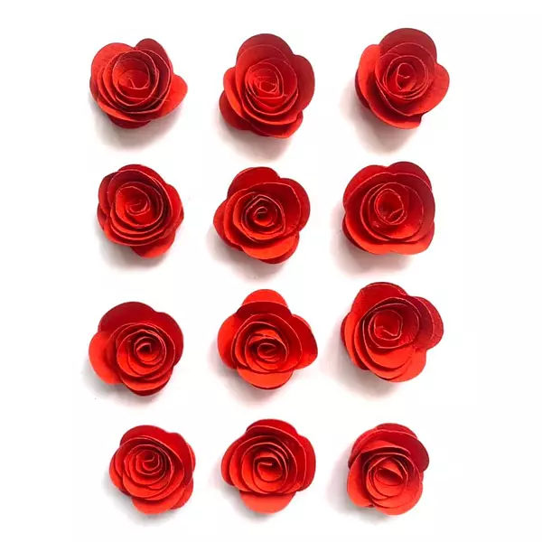 12 Flores De Espiral Rojas