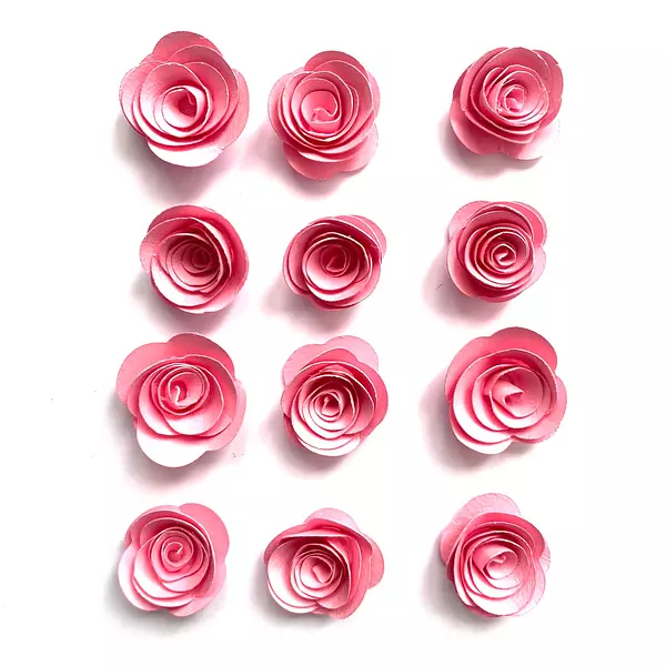 12 Flores de Espiral Rosadas