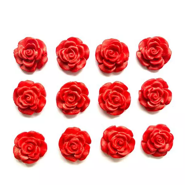 12 Rosas Rojas